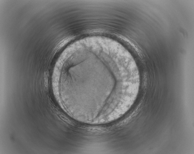 X0000115450921200912161511