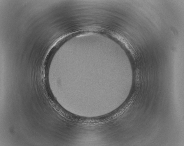 X0000115450923200912161511