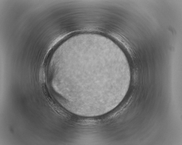 X0000115450925200912161511