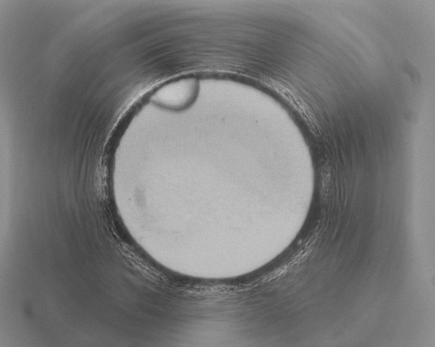 X0000115450926200912161511