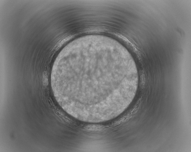 X0000115450929200912161511