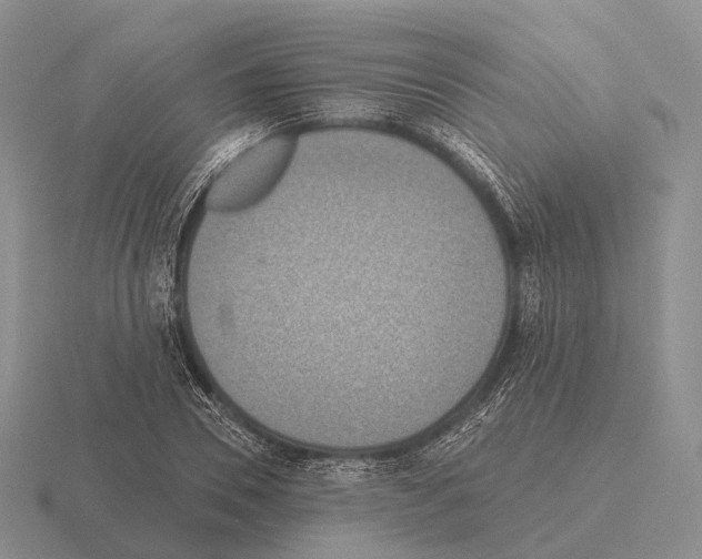 X0000115450930200912161511