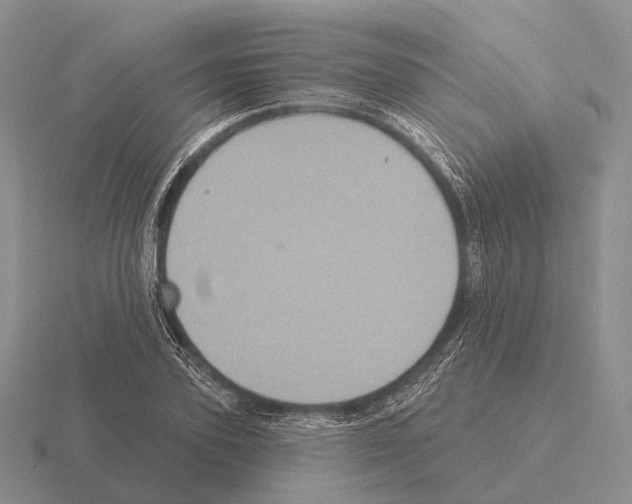 X0000115450931200912161511