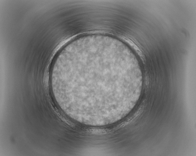 X0000115450933200912161511