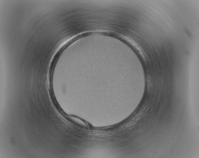 X0000115450935200912161511