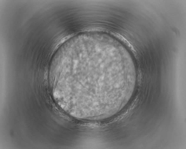 X0000115450937200912161511