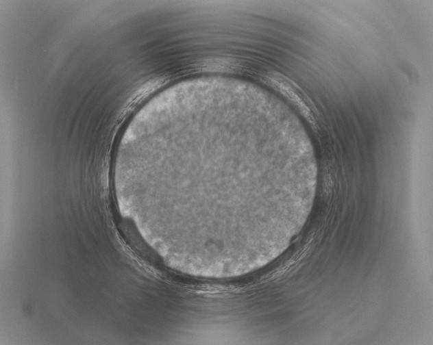 X0000115450938200912161511