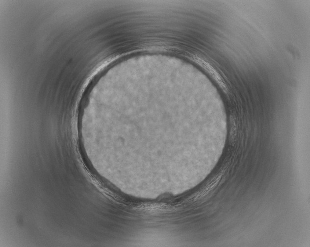 X0000115450939200912161511