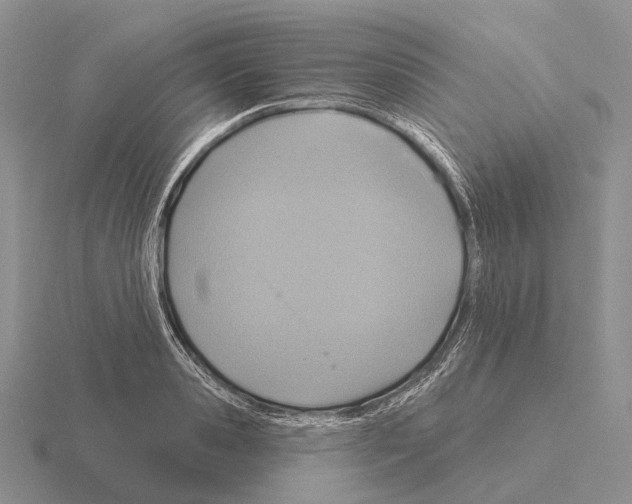 X0000115450941200912161511