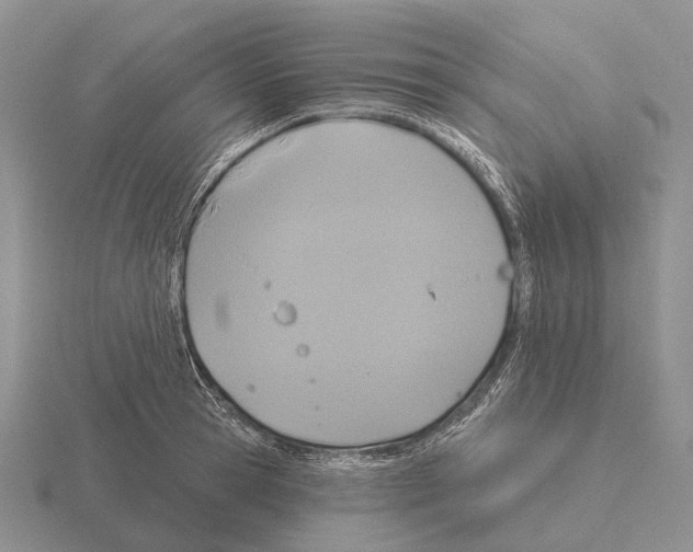 X0000115450945200912161511