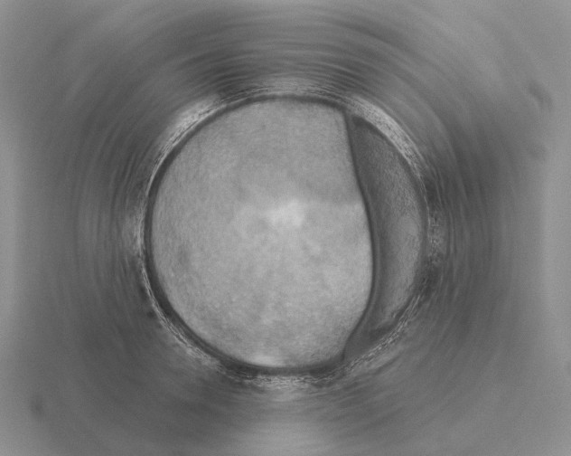 X0000115450946200912161511