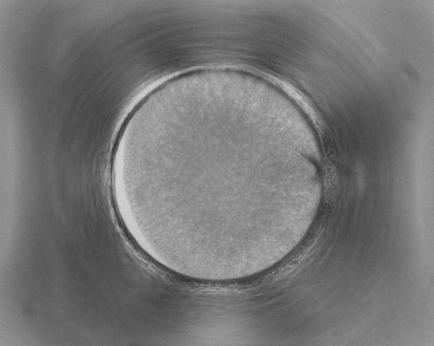 X0000115450951200912161511