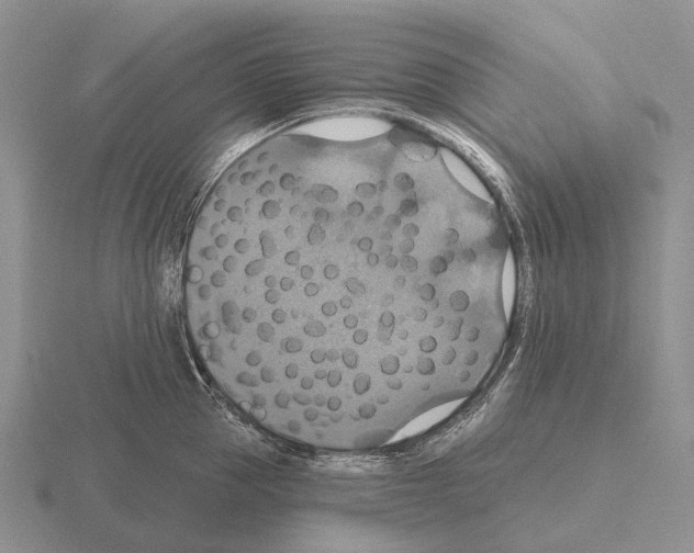 X0000115450953200912161511