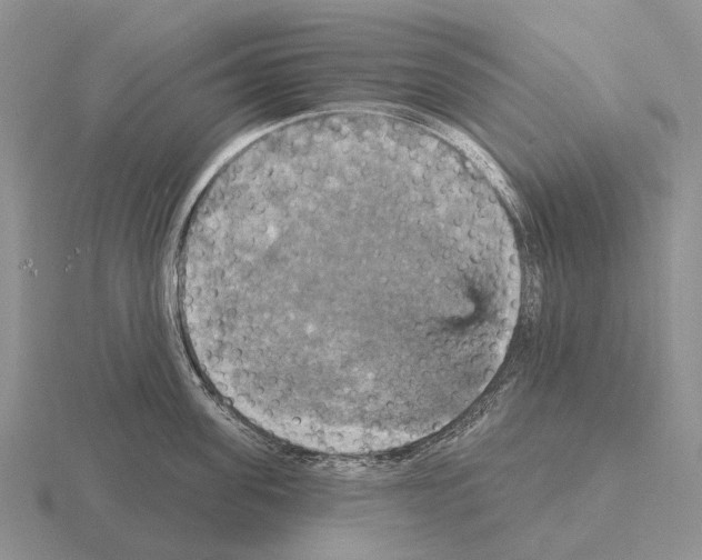 X0000115450955200912161511