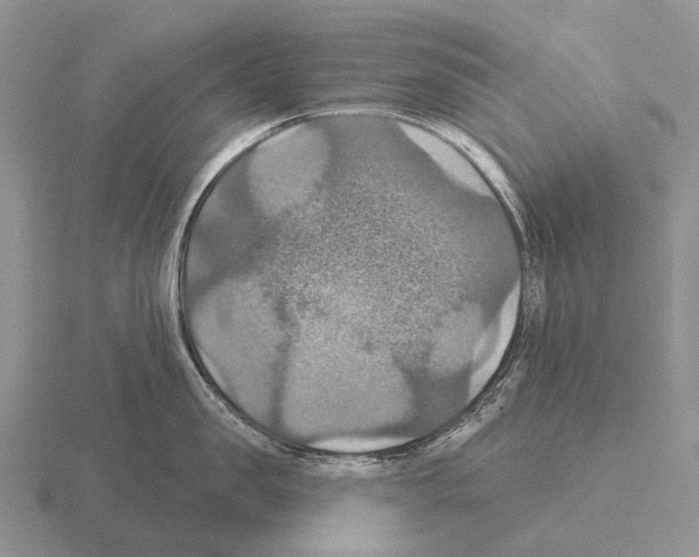 X0000115450957200912161511