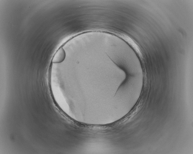 X0000115450958200912161511