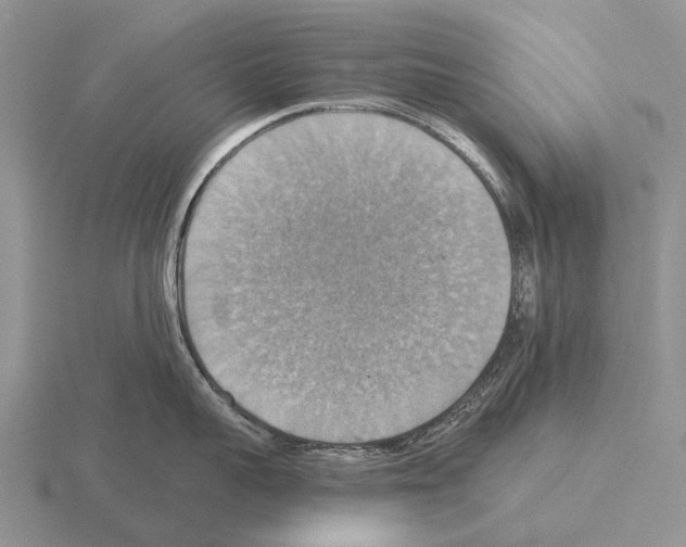 X0000115450959200912161511