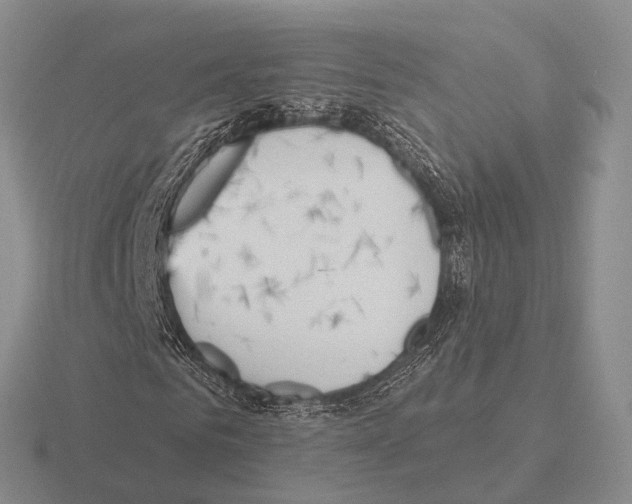 X0000115450961200912161511