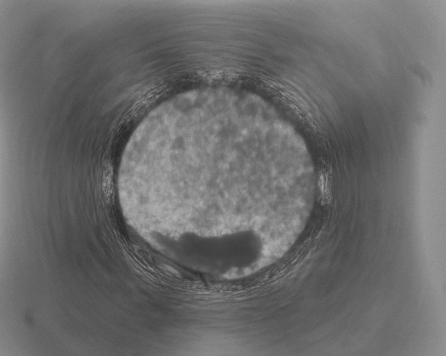 X0000115450963200912161511