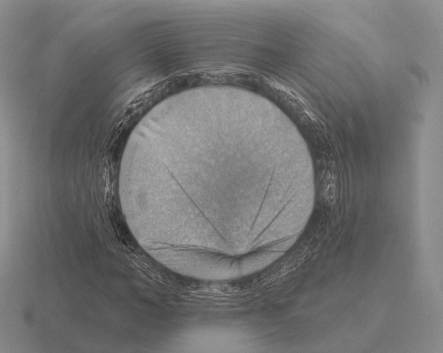 X0000115450966200912161511