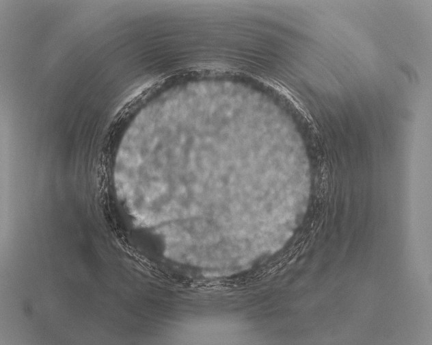 X0000115450967200912161511