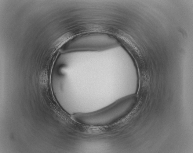 X0000115450969200912161511