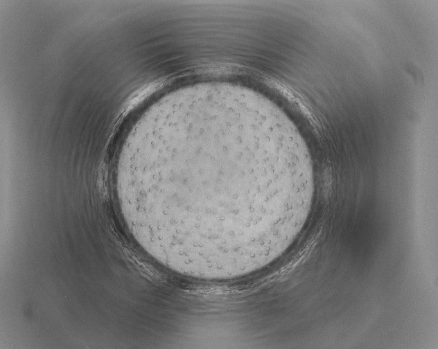 X0000115450970200912161511