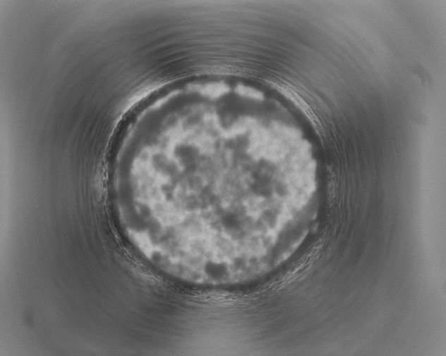 X0000115450971200912161511