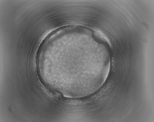 X0000115450972200912161511