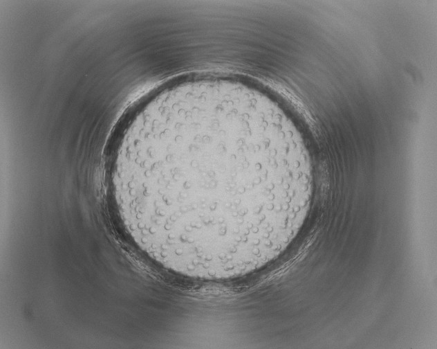 X0000115450974200912161511