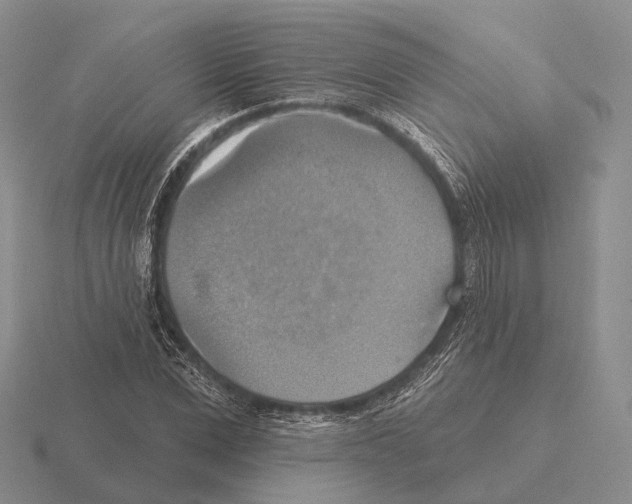 X0000115450975200912161511