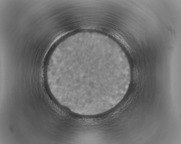 X0000115450976200912161511