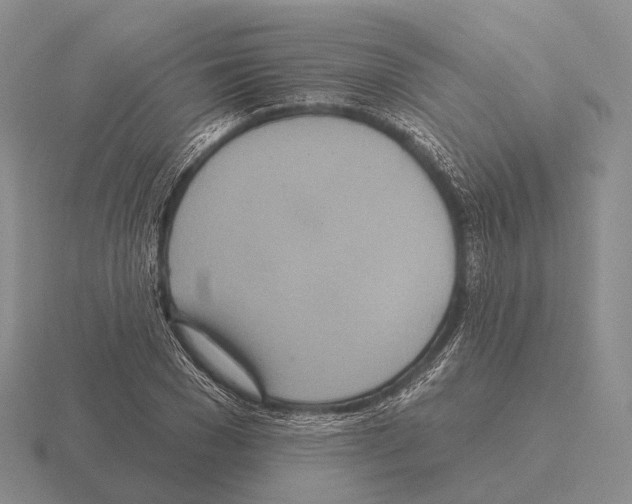 X0000115450977200912161511