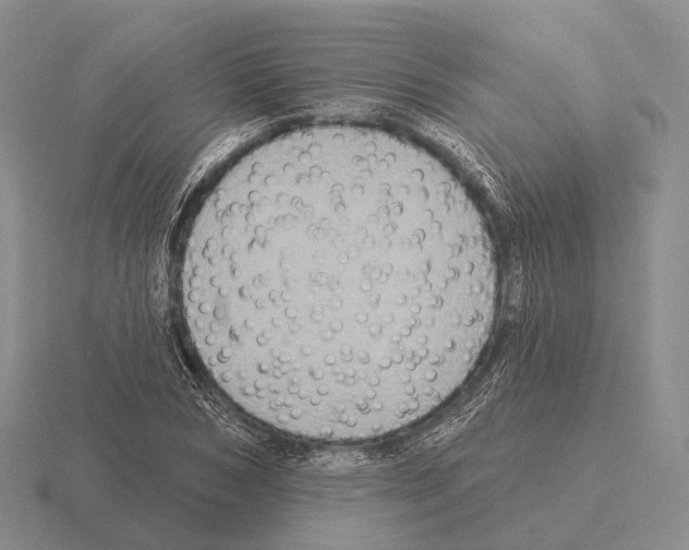 X0000115450978200912161511