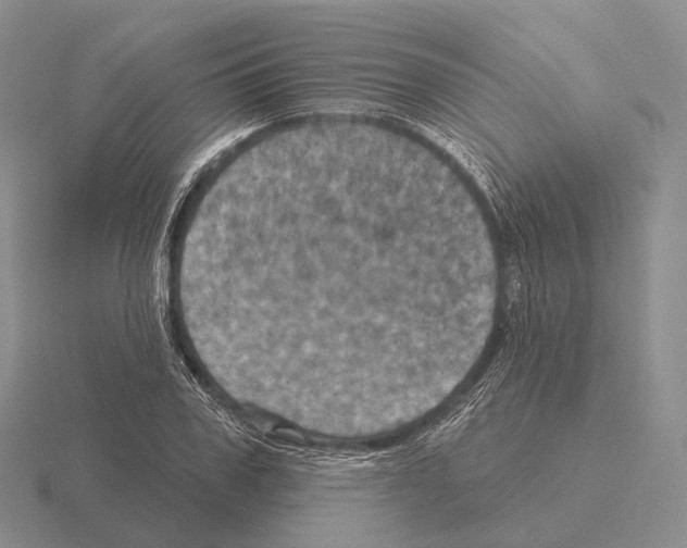 X0000115450979200912161511