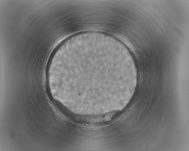 X0000115450980200912161511