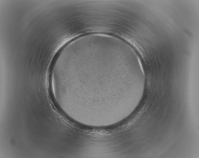 X0000115450983200912161511