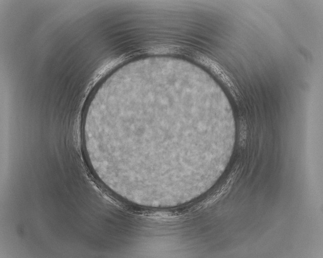 X0000115450986200912161511