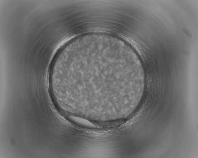 X0000115450987200912161511