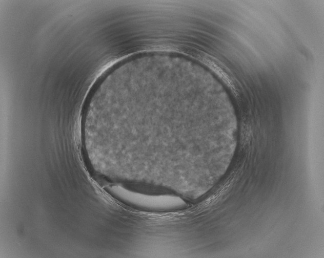 X0000115450988200912161511