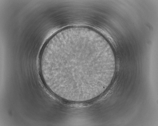 X0000115450990200912161510