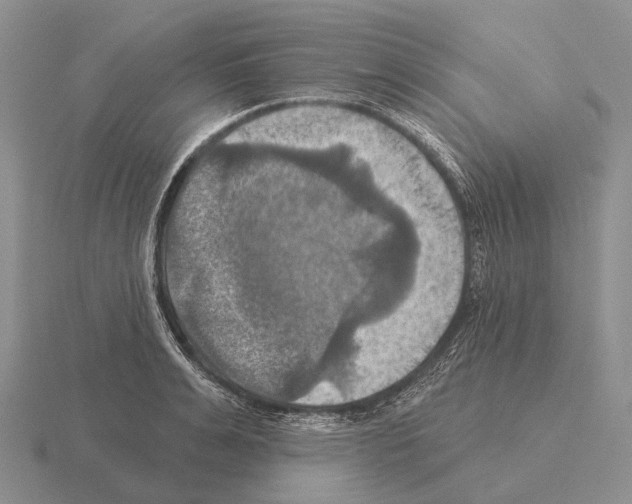 X0000115450991200912161510