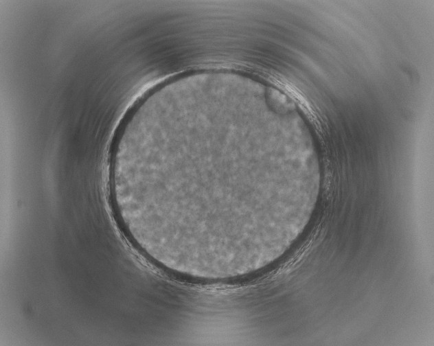 X0000115450992200912161510