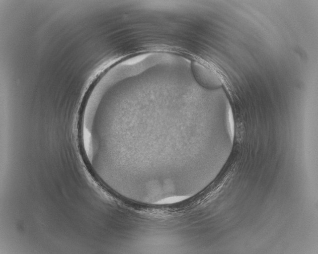 X0000115450995200912161510