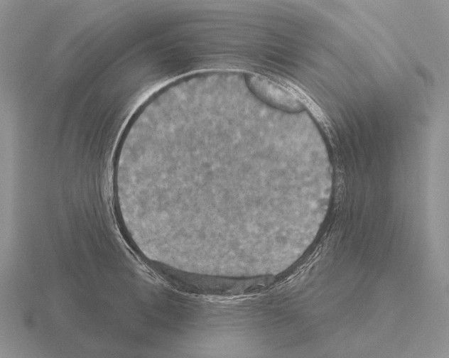 X0000115450996200912161510