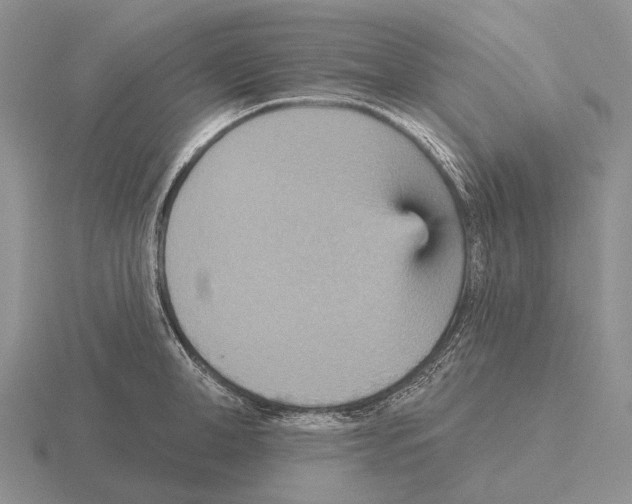 X0000115450998200912161510