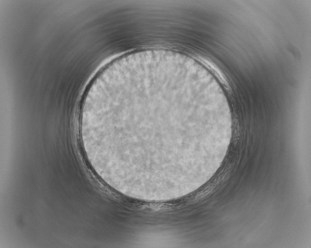 X0000115451000200912161510