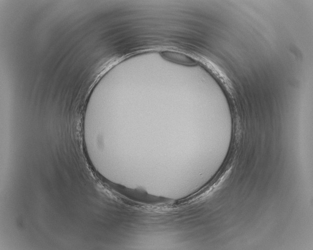 X0000115451001200912161510