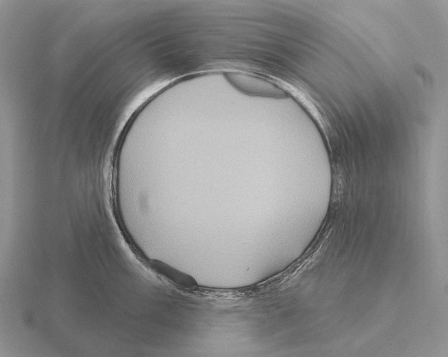 X0000115451003200912161510