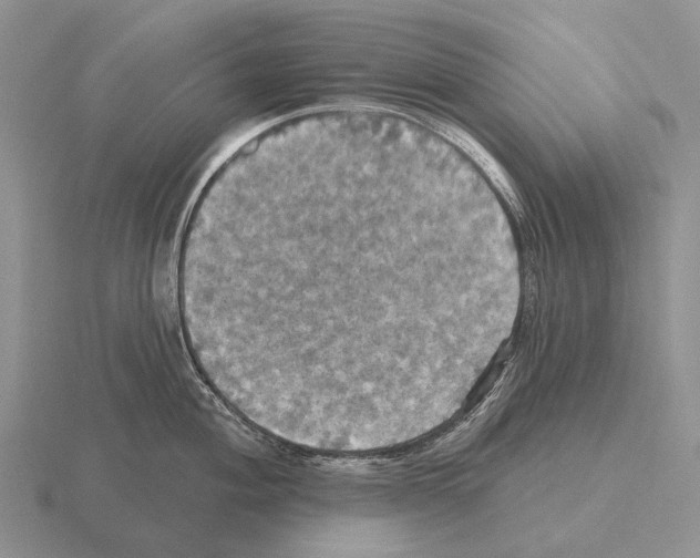 X0000115451004200912161510